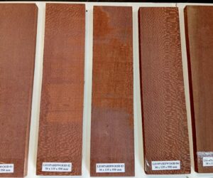 Leopardwood 30 x 135 x 550 mm